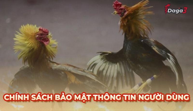 Chính sách bảo mật thông tin người dùng tại www.chilakiles.mx