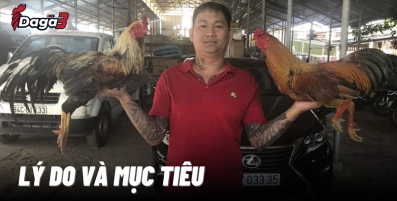 Mít Trà Cú sáng lập trang đá gà trực tiếp www.chilakiles.mx